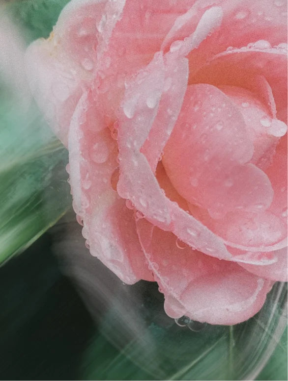 SolarGuard 05 – Mineral Sunscreen SPF 30